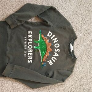 Kids dinosaur sweat shirt